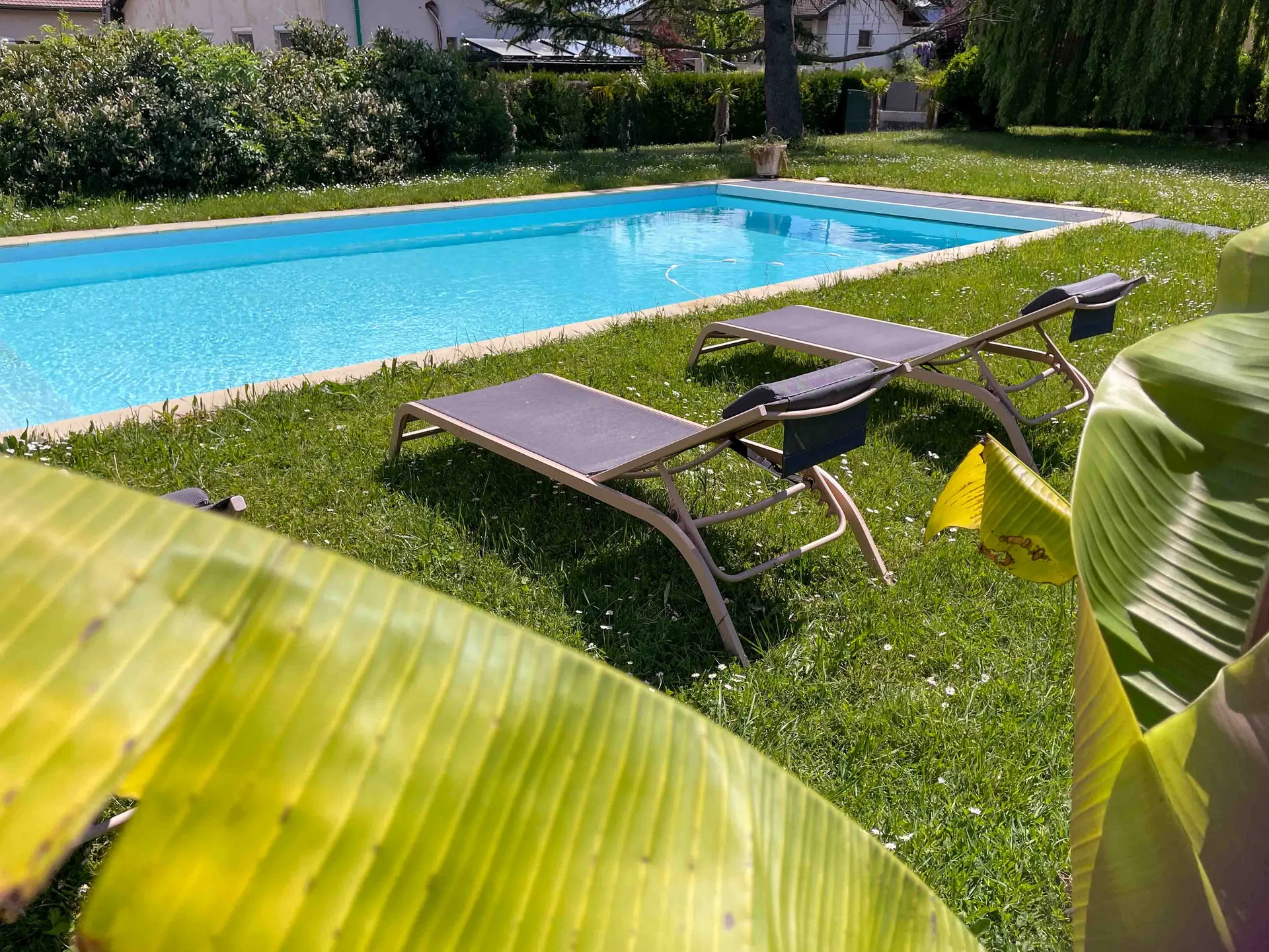 La Villa garden and pool